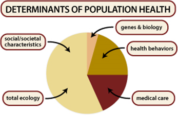 CDC determinants of population health.bmp